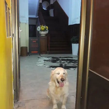 Prenociste Nikolas Grand Apartman Smederevo