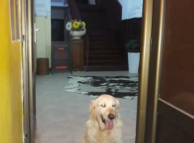 Prenociste Nikolas Grand 아파트 스메데레보